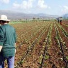 Ο Αγροτικός Σύλλογος Αμυνταίου για τη Διεθνή Ημέρα Αγρότισσας