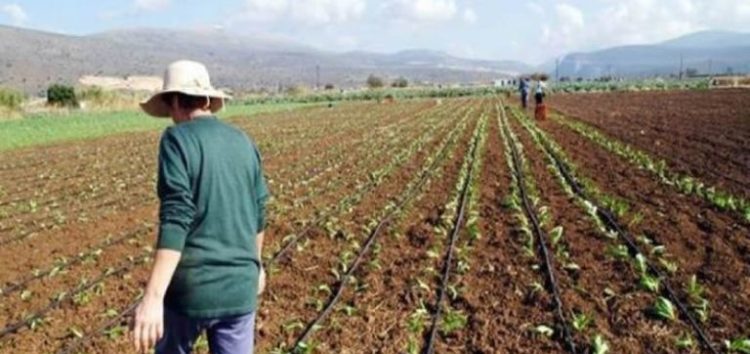 Ο Αγροτικός Σύλλογος Αμυνταίου για τη Διεθνή Ημέρα Αγρότισσας