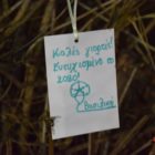 Ολοκληρώθηκαν οι εκδηλώσεις «Χριστουγεννιάτικες Φωτιές στη Φλώρινα» (pics)