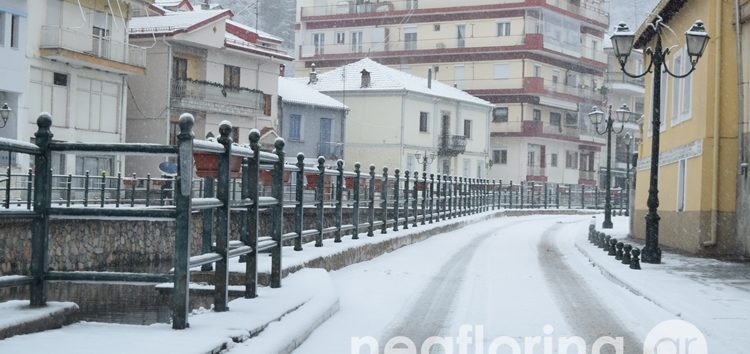 Στα λευκά ξύπνησε η Φλώρινα (pics)