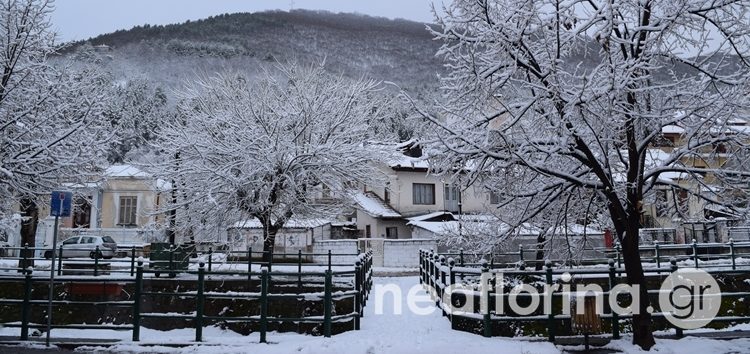 Στα λευκά η Φλώρινα (pics)