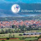 Τα αποτελέσματα των αρχαιρεσιών στον Σύλλογο Γυναικών Αμυνταίου – Το νέο Δ.Σ.