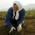 Παγκόσμια Ημέρα Αγρότισσας