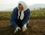 Γυναίκα αγρότισσα: Η γυναίκα που θερίζει ελπίδα, σπέρνοντας κόπο και αξιοπρέπεια!
