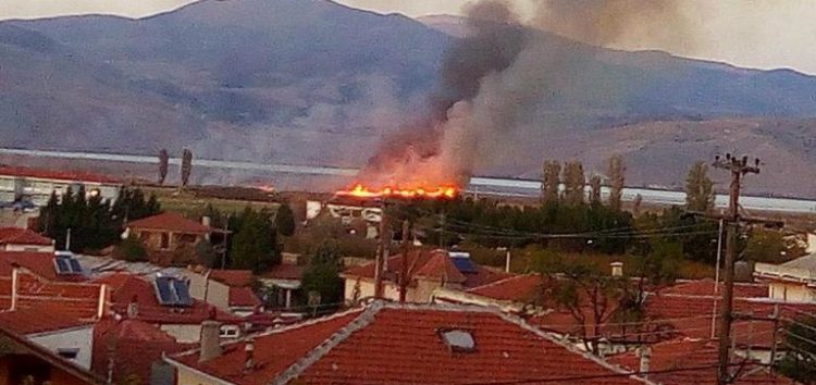 Κάψε και καταπάτησε ελεύθερα! Μπορείς!