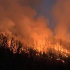 Καίγονται δασικές εκτάσεις στην κοινότητα Κώττα του δήμου Πρεσπών