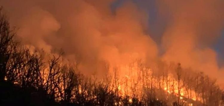 Καίγονται δασικές εκτάσεις στην κοινότητα Κώττα του δήμου Πρεσπών