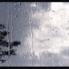 Η Παρέμβαση διοργανώνει την διαδικτυακή λογοτεχνική δράση «Ιστορίες από το σπίτι»