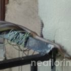 Φίδι εμφανίστηκε σε μπαλκόνι πολυκατοικίας (video, pics)