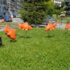 “Χρυσόψαρα κάτω από το νερό”: εικαστική παρέμβαση του Κωνσταντίνου Ζέρβα (pics)
