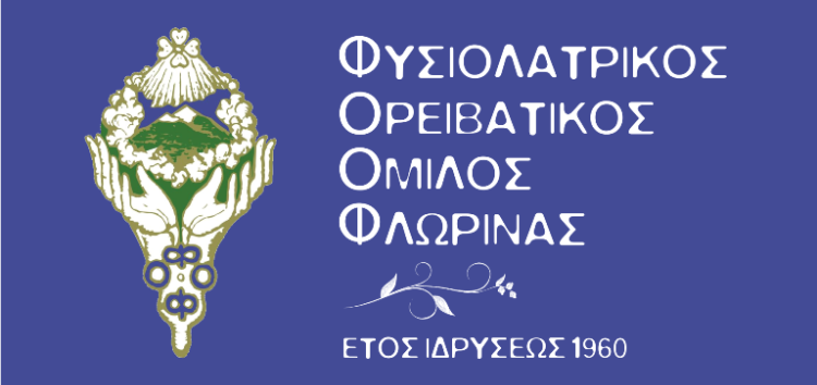 Ο Φ.Ο.Ο.Φ. συγχαίρει τη νεαρή αθλήτρια του βόλεϊ Δέσποινα Λουκά