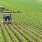 Επιστολή του Αγροτικού Συλλόγου Δήμου Αμυνταίου προς τον Πρόεδρο του ΕΛΓΑ