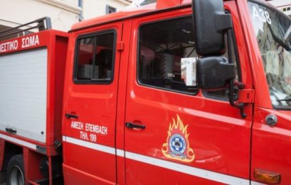 Διοικητικό πρόστιμο για πυρκαγιά σε ξηρά χόρτα σε περιοχή του Δήμου Αμυνταίου