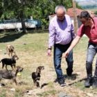 Στειρώσεις αδέσποτων ζώων στον δήμο Αμυνταίου (pics)