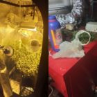 Συνελήφθη 32χρονος στη Φλώρινα για καλλιέργεια δενδρυλλίων κάνναβης (video, pics)