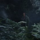 “Το Σιωπηλό Δάσος” από τον Αρκτούρο (video)