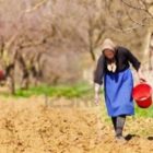 Ο Αγροτικός Σύλλογος Δήμου Αμυνταίου για την Παγκόσμια Ημέρα Αγρότισσας
