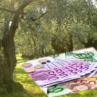Την Τετάρτη 21 Οκτωβρίου ξεκινά η πληρωμή της προκαταβολής της Βασικής Ενίσχυσης ύψους περίπου 700 εκατ. ευρώ