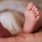 Ευχαριστήριο Λάζαρου Παπαμιχαήλ και Ευτυχίας Αβράμη για τη γέννηση του παιδιού τους