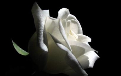 Ευχαριστήριο πένθους της οικογένειας του Παύλου Αρβανιτάκη