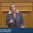 Π. Πέρκα: «Αναξιοποίητοι πόροι, ανεδαφικές μελέτες – η Κυβέρνηση ξαναβάζει το σιδηρόδρομο στις ράγες της οπισθοδρόμησης και τη Δυτική Μακεδονία στο περιθώριο»