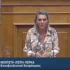 Πέτη Πέρκα: «Σχεδιάζουν την αποτυχία» (video)