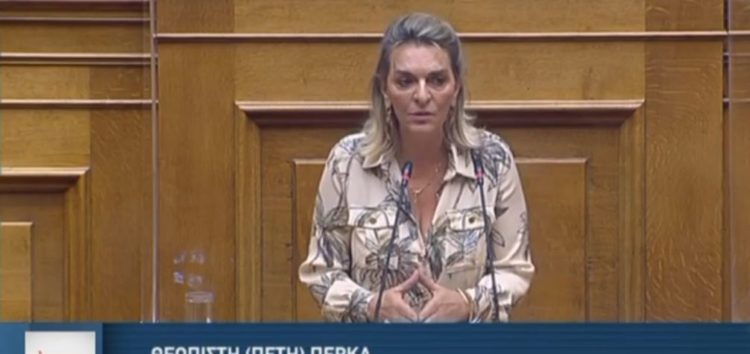 Πέτη Πέρκα: «Σχεδιάζουν την αποτυχία» (video)