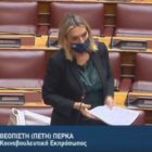 Π. Πέρκα: «Η ιδεοληψία τους για την υγεία είναι πως όταν περάσει η κρίση, θα έρθει ο ιδιωτικός τομέας να τα κάνει όλα» (video)