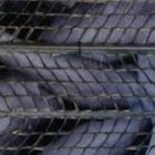 Σχολή Καλών Τεχνών: Ο Θανάσης Ράπτης παρουσιάζει το Φωτογραφικό Κέντρο Θεσσαλονίκης και επιλογές από το έργο του