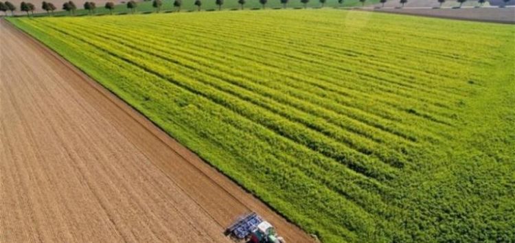 Ζητούνται αγροτικά κτήματα για αγορά ή ενοικίαση