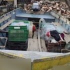 Σύλληψη δύο ατόμων στη λίμνη της Μεγάλης Πρέσπας για παράνομη αλιεία