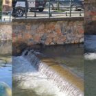 Ένα αγριογούρουνο κάνει βόλτες μέσα στο ποτάμι της Φλώρινας (pics)