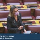 Π. Πέρκα: «Να πληρωθούν άμεσα οι αποζημιώσεις για τις αναγκαστικές απαλλοτριώσεις της περιοχής Αχλάδας της Π.Ε. Φλώρινας» (video)