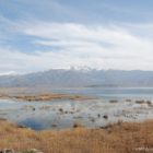 Περιβαλλοντικές οργανώσεις ζητούν απόσυρση απαράδεκτης διάταξης σε νομοσχέδιο Γεωργιάδη – Σκρέκα
