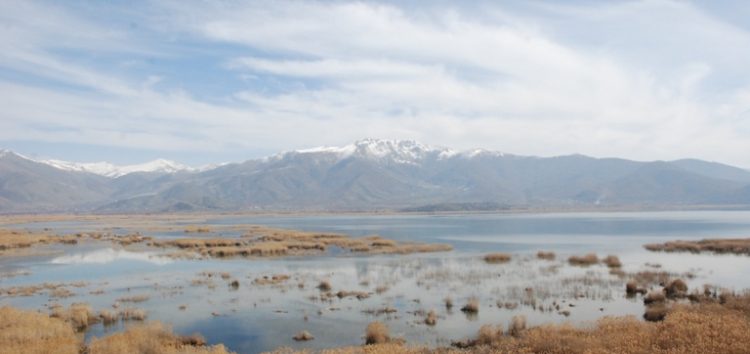 Περιβαλλοντικές οργανώσεις ζητούν απόσυρση απαράδεκτης διάταξης σε νομοσχέδιο Γεωργιάδη – Σκρέκα