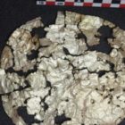 Τι αποκαλύπτει το νεκροταφείο της αρχαίας Λύγκου στην Αχλάδα (pics)