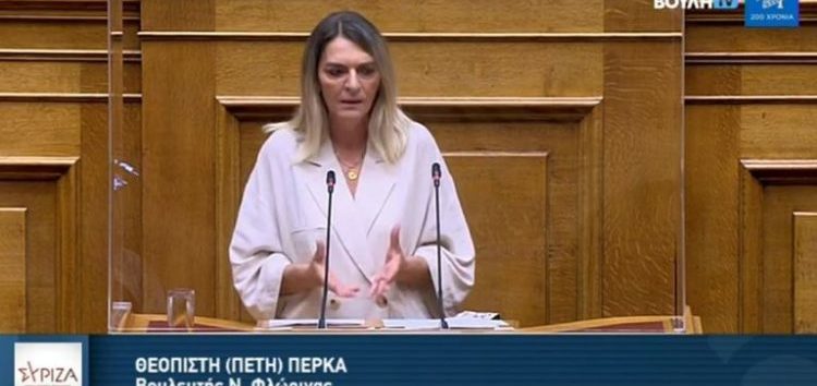 Ερώτηση Π. Πέρκα για την Στρατηγική Μελέτη Περιβαλλοντικών Επιπτώσεων του Προγράμματος Δίκαιης Αναπτυξιακής Μετάβασης (ΕΠΔΑΜ) και των Εδαφικών Σχεδίων, την ενημέρωση της βουλής επί των ΕΣΔΙΜ και την επίσημη αποστολή τους στην Ευρωπαϊκή Επιτροπή