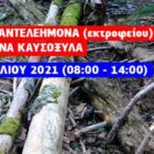 Καθαρισμός εκτροφείου λόφου Αγ. Παντελεήμονα από κατακείμενα καυσόξυλα
