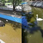 Ευχαριστήριο του Δήμου Φλώρινας για δωρεά προς τον Ζωολογικό Κήπο – Πάρκο Αναψυχής Φλώρινας