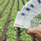 Αγροτικός Σύλλογος Δήμου Αμυνταίου: «Συνένοχοι ή Βλάκες»