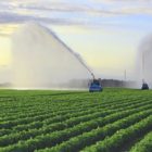 Υπογράφτηκε η σύμβαση κατασκευής του αρδευτικού δικτύου Πρεσπών