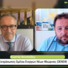 O Όμιλος Ενεργών Νέων Φλώρινας και το Europe Direct Δυτικής Μακεδονίας συμμετείχαν στη διαδικτυακή εκδήλωση της Ελληνογερμανικής Συνέλευσης και του Ιδρύματος Χάινριχ Μπελ