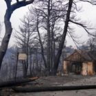 Δήμος Αμυνταίου: Συγκέντρωση βοήθειας για τις πυρόπληκτες περιοχές