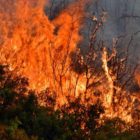 Δήμος Φλώρινας: Συγκέντρωση βοήθειας για τις πυρόπληκτες περιοχές