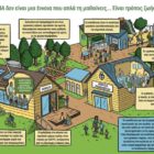 Ολιστική Προσέγγιση της Βιωσιμότητας (Sustainability)/Αειφορίας στη σχολική μονάδα