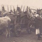 Και ύστερα ήρθε η εξέλιξη