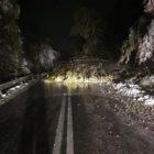 Πτώσεις δέντρων στον δρόμο Φλώρινας – Πρέσπας μέσω Βίγλας – Με προβλήματα η κίνηση των οχημάτων (pics)