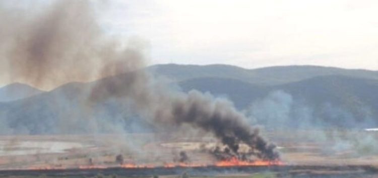 Εγκληματικές φωτιές στη λίμνη Πετρών