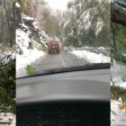 Ευχαριστίες στην Πυροσβεστική Υπηρεσία Φλώρινας για απεγκλωβισμό από δέντρα