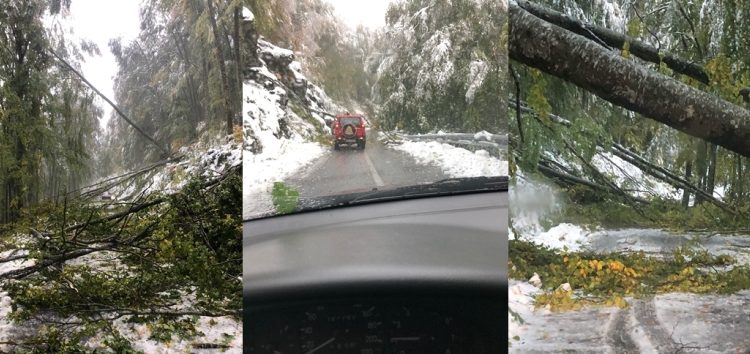 Ευχαριστίες στην Πυροσβεστική Υπηρεσία Φλώρινας για απεγκλωβισμό από δέντρα